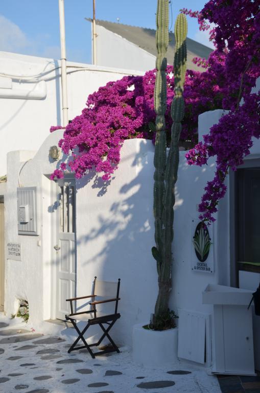 Apartmán White And Grey Chora Mykonos Town Exteriér fotografie