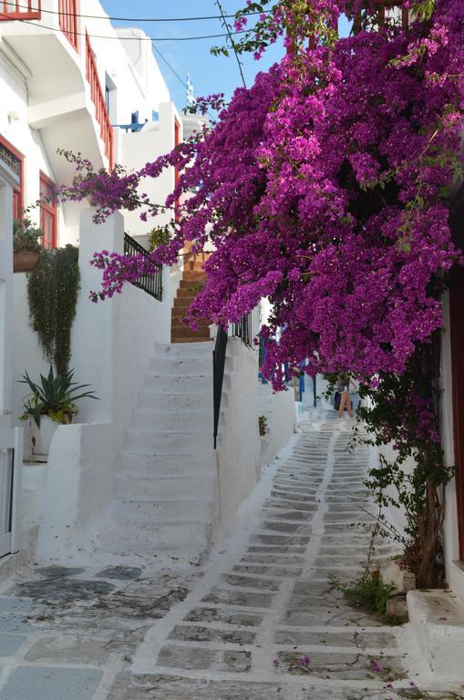 Apartmán White And Grey Chora Mykonos Town Exteriér fotografie